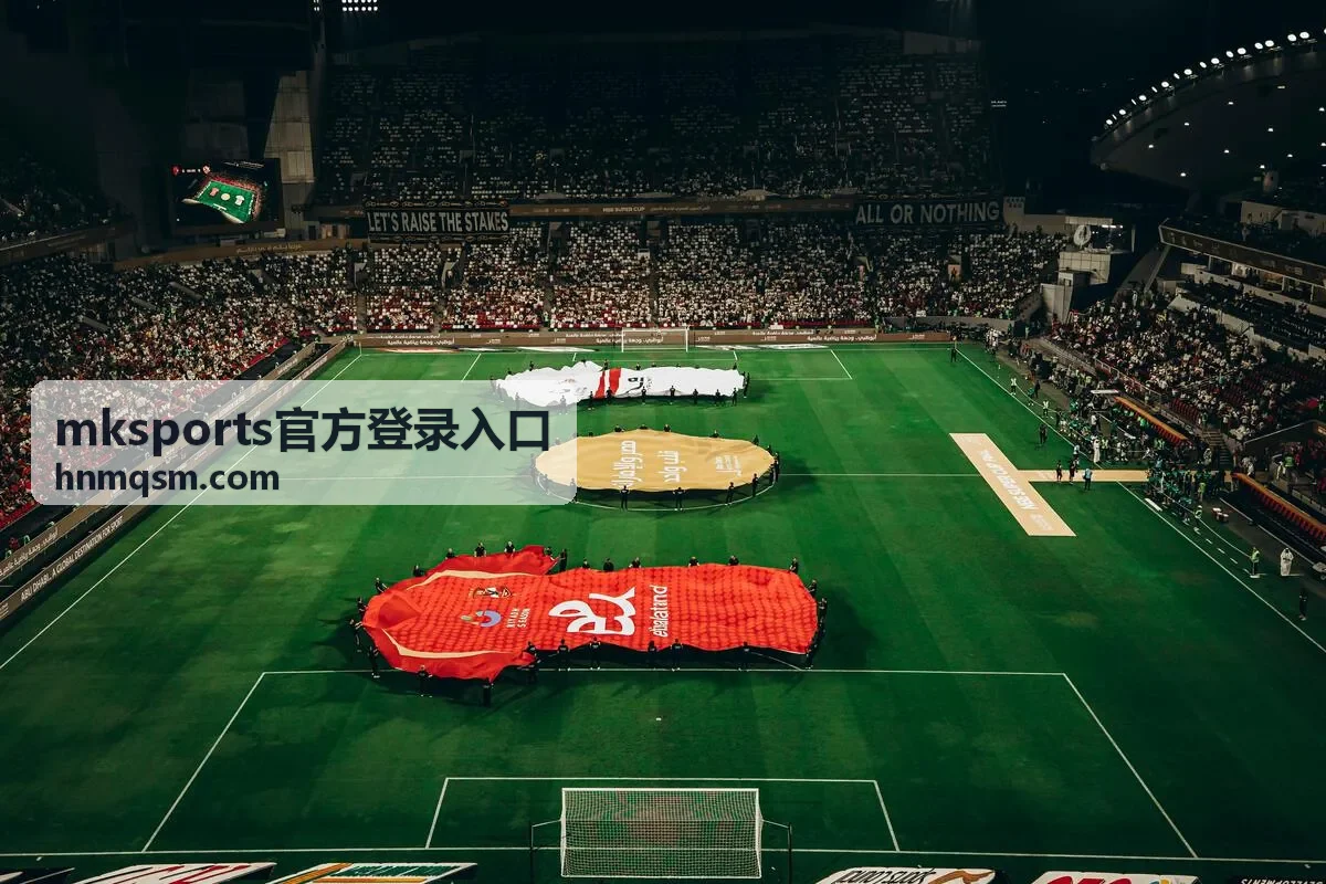 mksports官方登录入口的数据面板展示界面